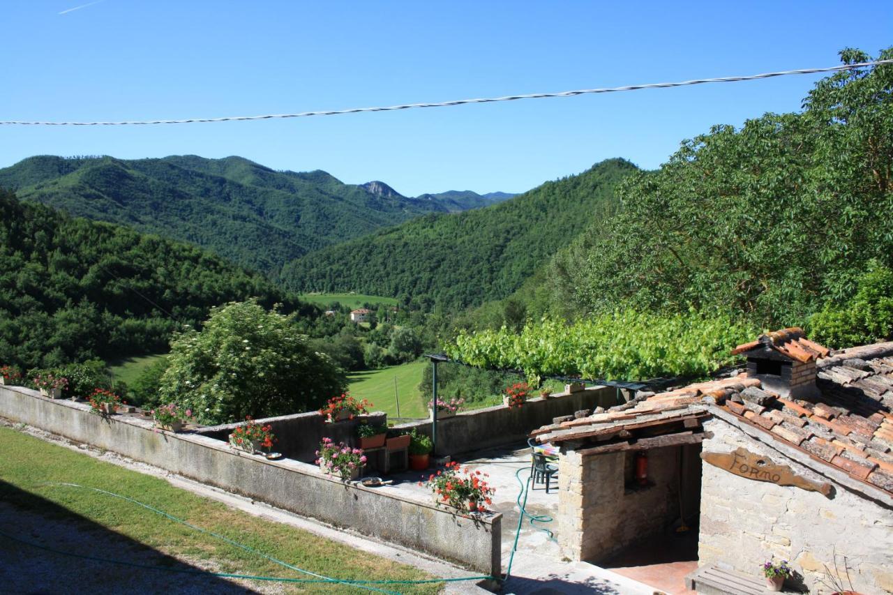 Sacchiafarm *