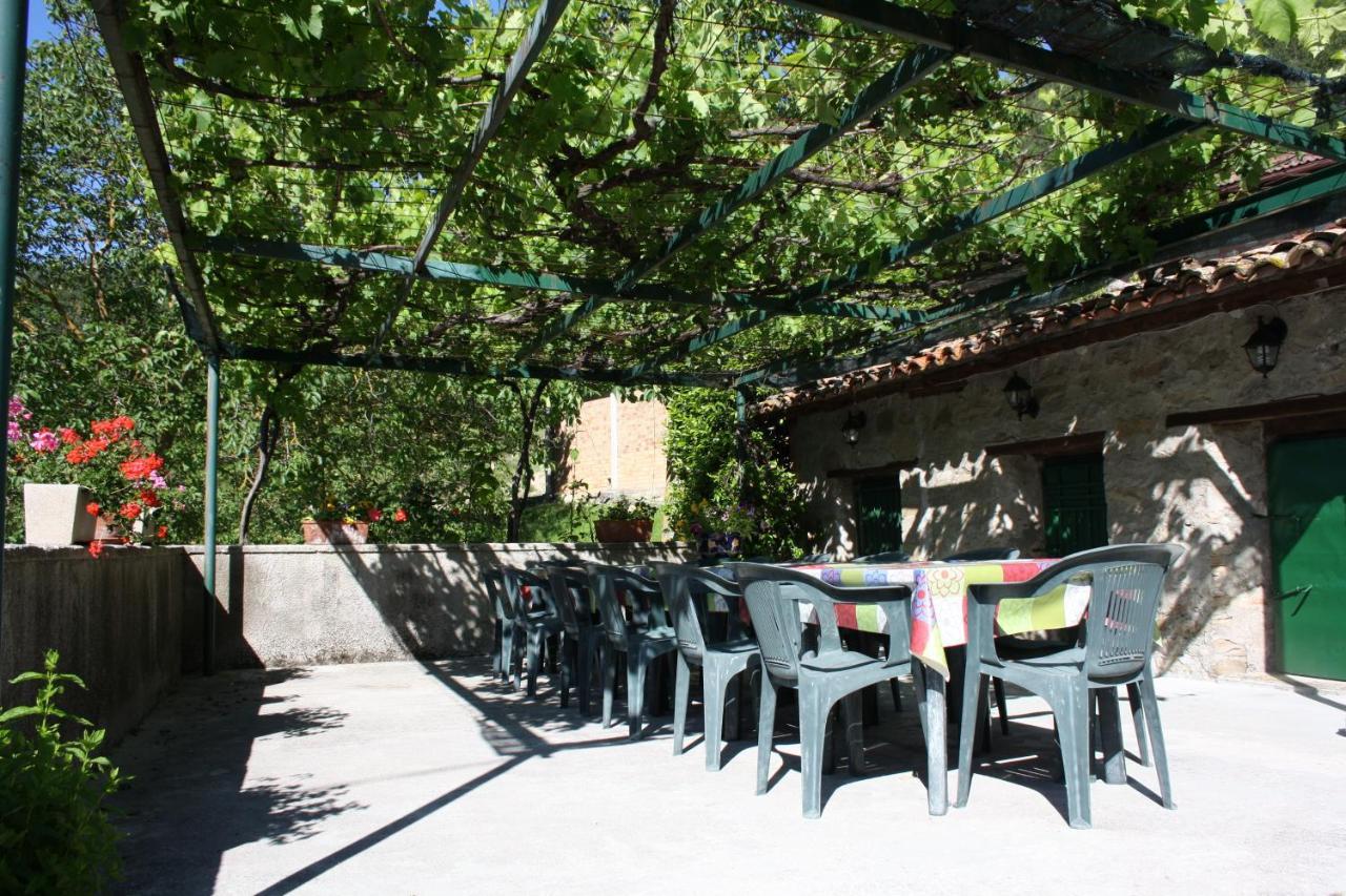 Alloggio per agriturismo Sacchiafarm *