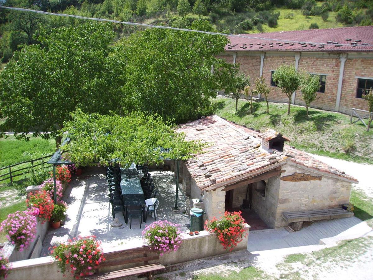 Alloggio per agriturismo Sacchiafarm Borgo Pace