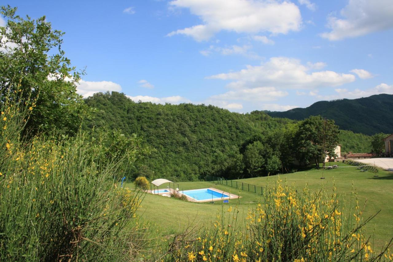 Sacchiafarm *