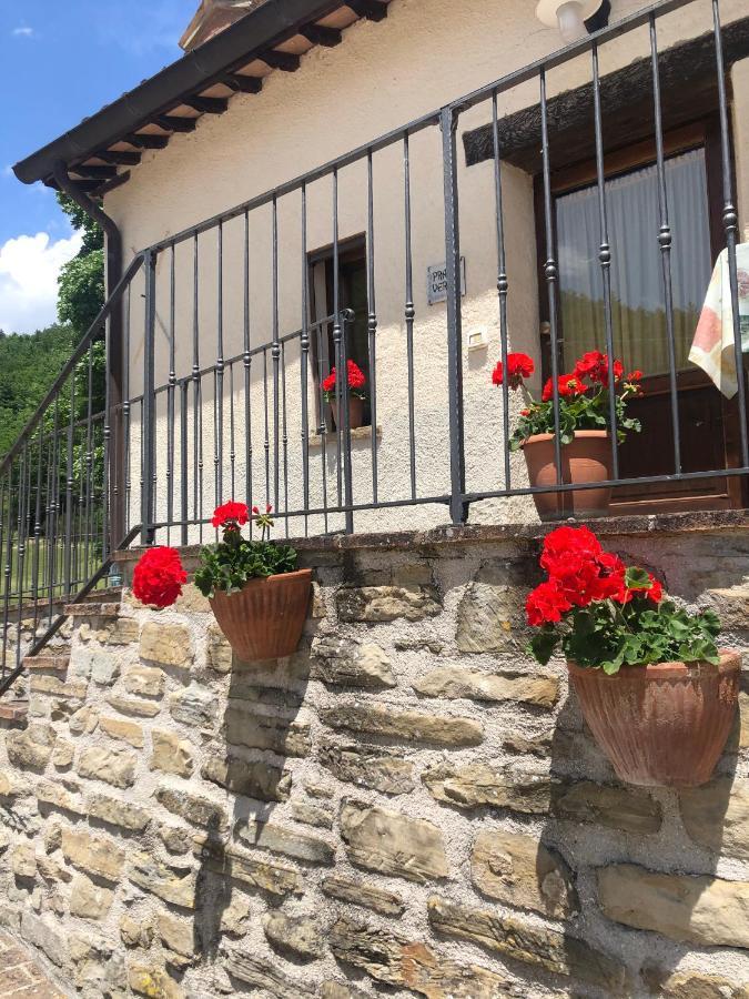 Farm stay Agriturismo Sacchiafarm *